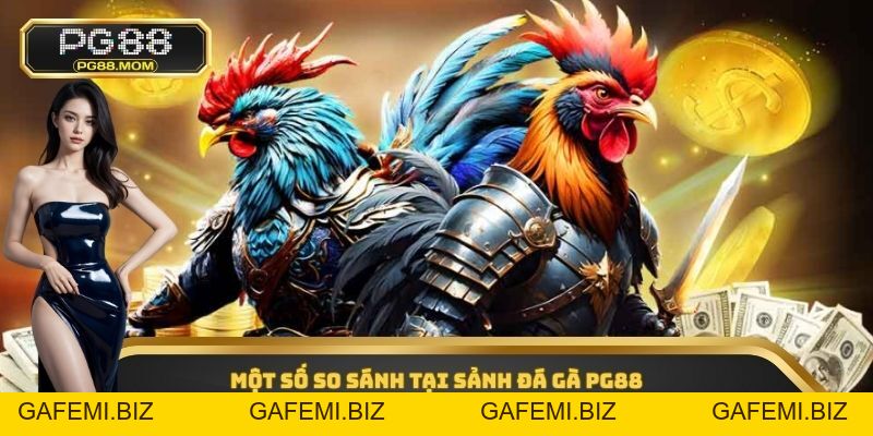 Đá Gà PG88 - Đấu Trường Chọi Kê Hấp Dẫn Số 1 Việt Nam